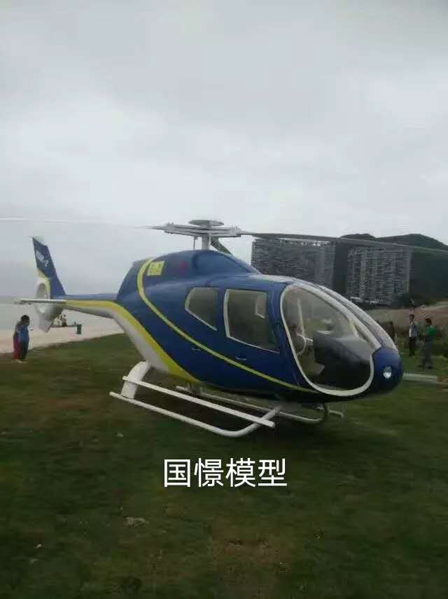 罗源县飞机模型