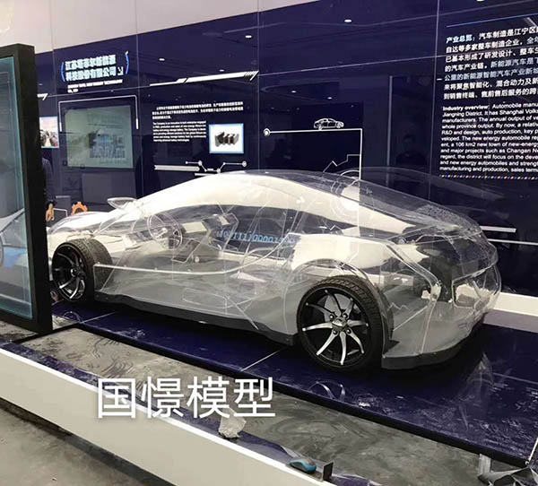 罗源县透明车模型
